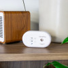 sealed 10 year carbon monoxide detector shown on a wooden shelf next to a wooden speaker and a white pot